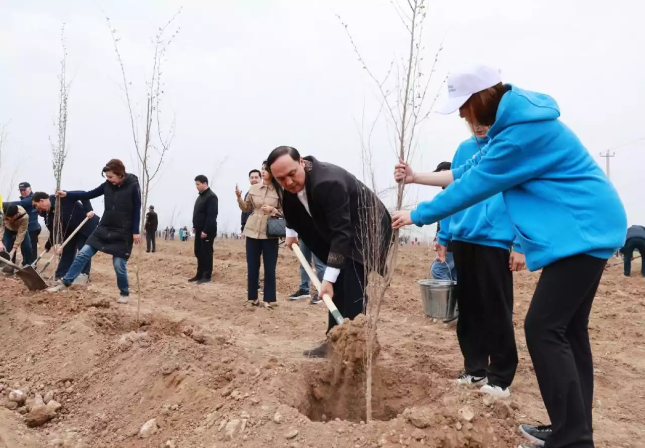 Таразда экологиялық акция аясында 10 мың түп ағаш отырғызылды