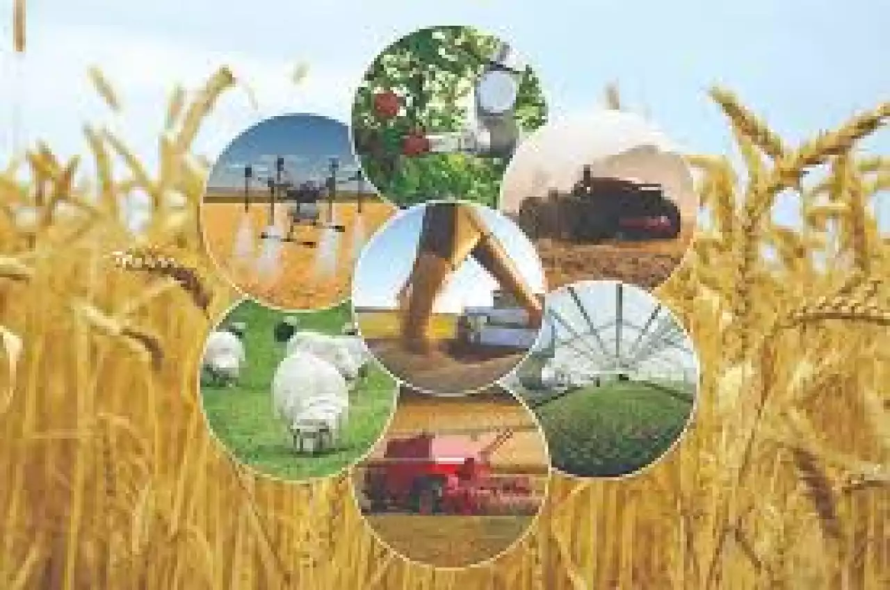 Биыл ылғал мол