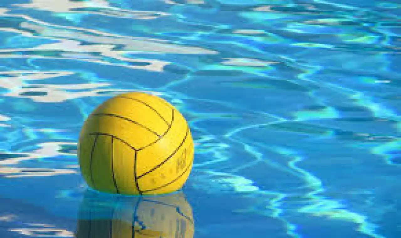 Спортшыларға құрмет көрсетті