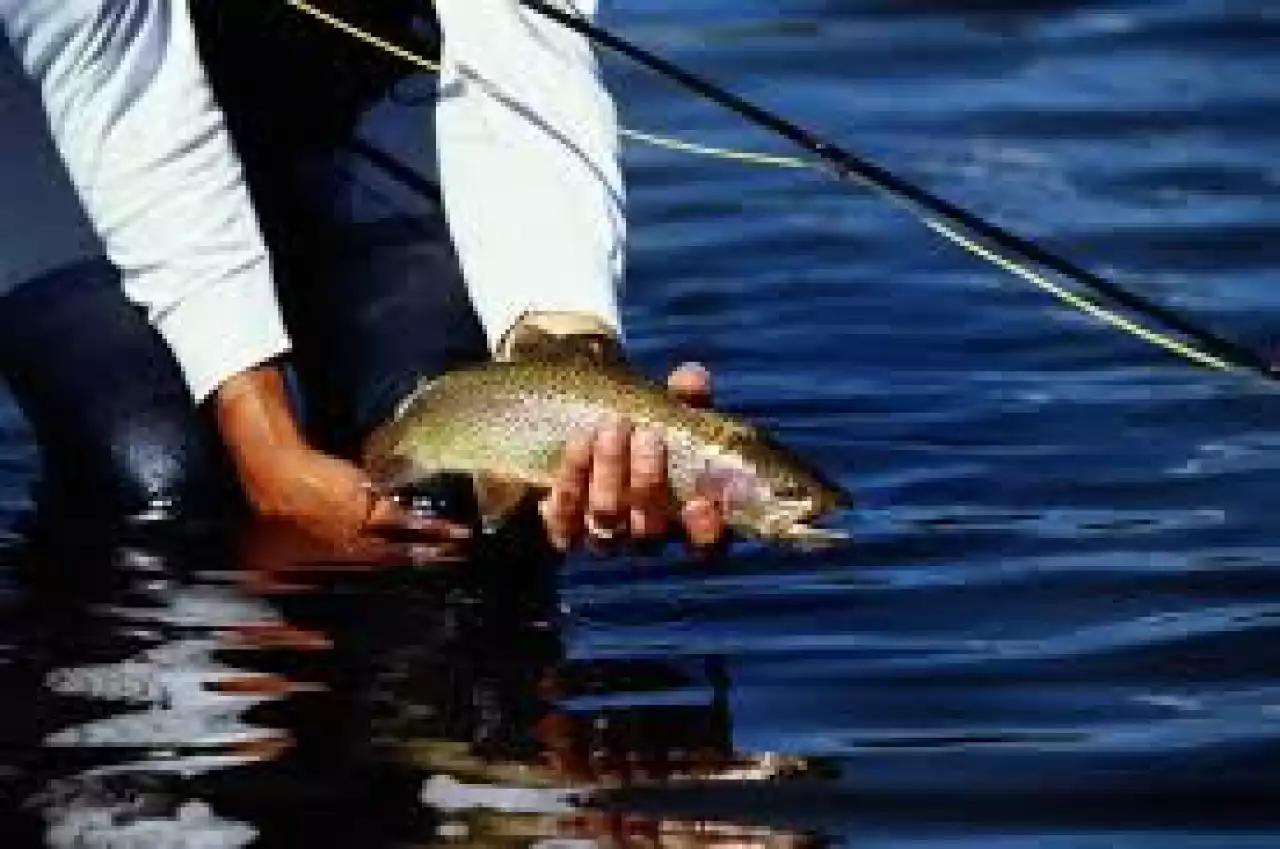 «Таза су айдындары» акциясы аясында қоймалар тазартылды