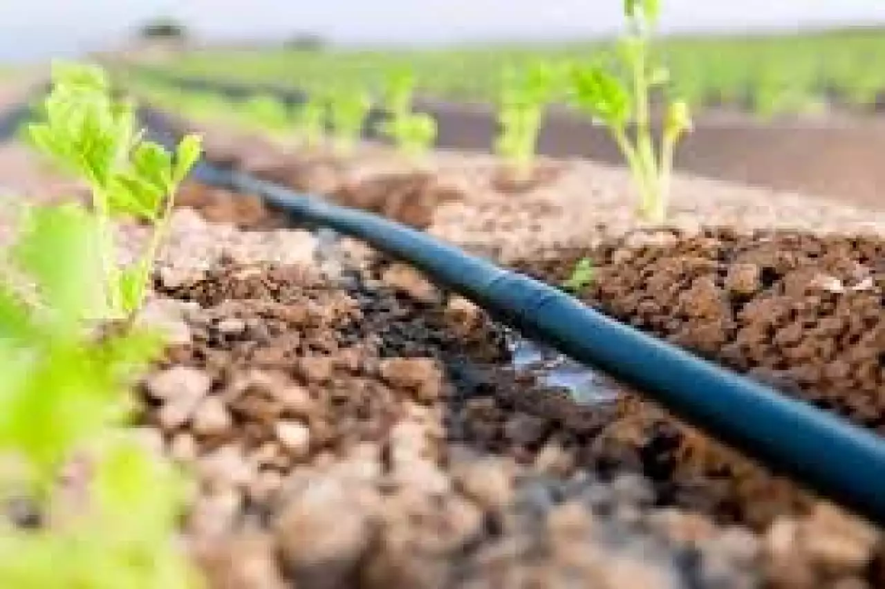 Биыл су үнемдеу технологиясы қанша гектарға қойылады?