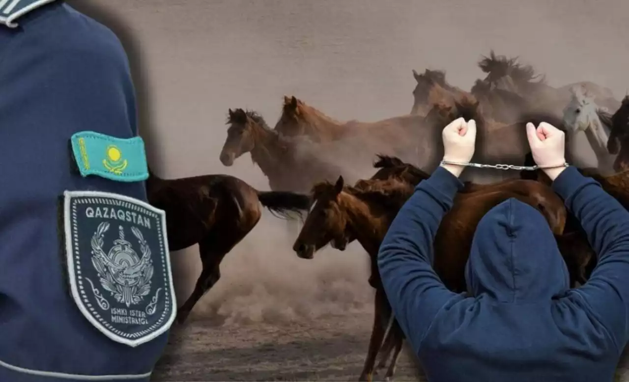 46 млн теңгенің мал ұрлығы ашылды: бақташы күдікке ілінді