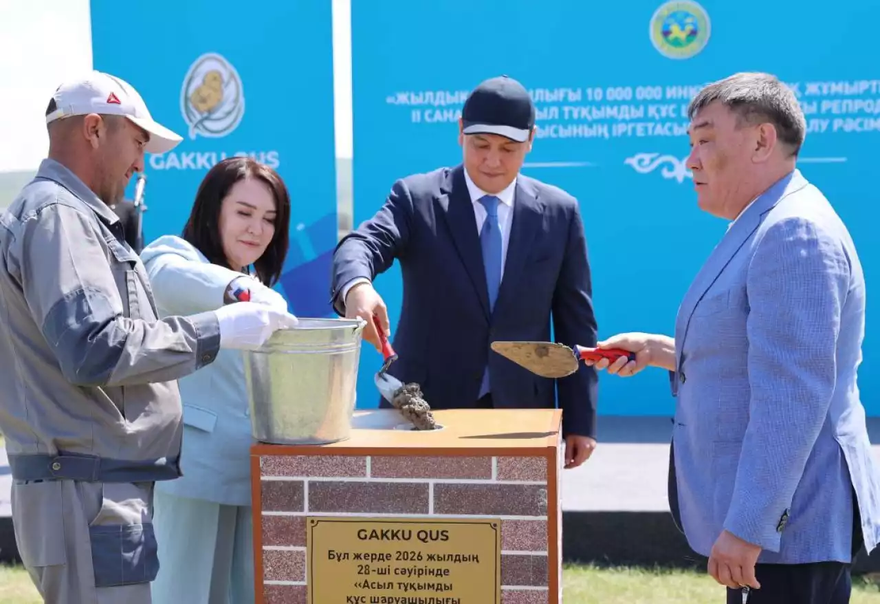 Тұрар Рысқұлов ауданында инкубациялық жұмыртқа өндіретін зауыт құрылысы басталды