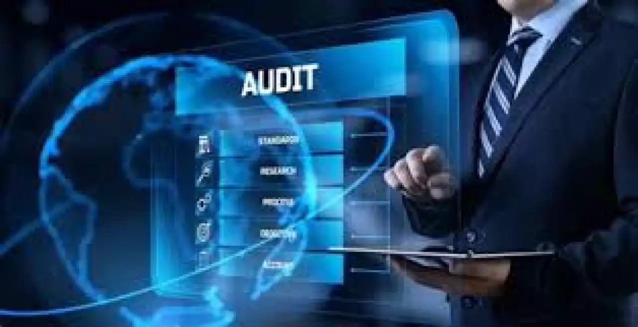 Аудит тексерісі нені анықтады?